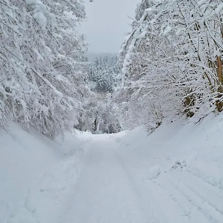 Apartment Schwarzwaldmarie Waldachtal