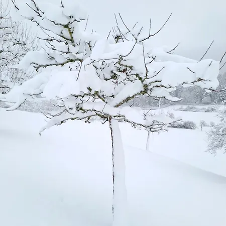 Lägenhet Schwarzwaldmarie Waldachtal