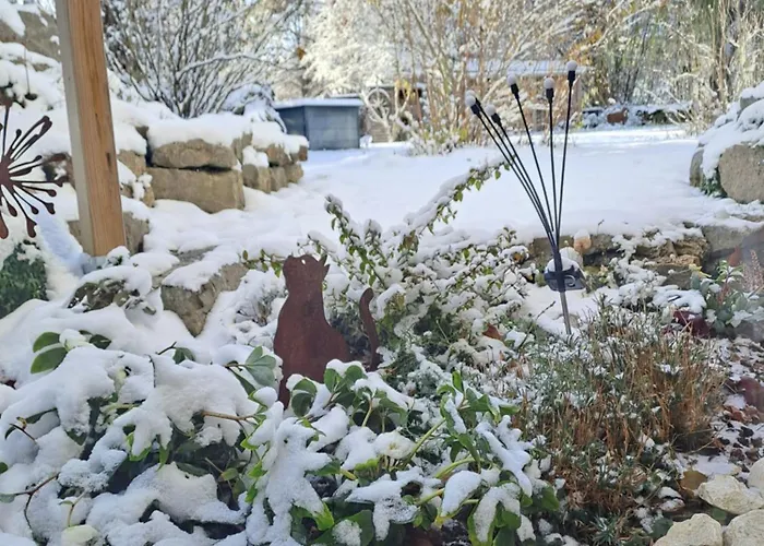 Schwarzwaldmarie Apartman Waldachtal