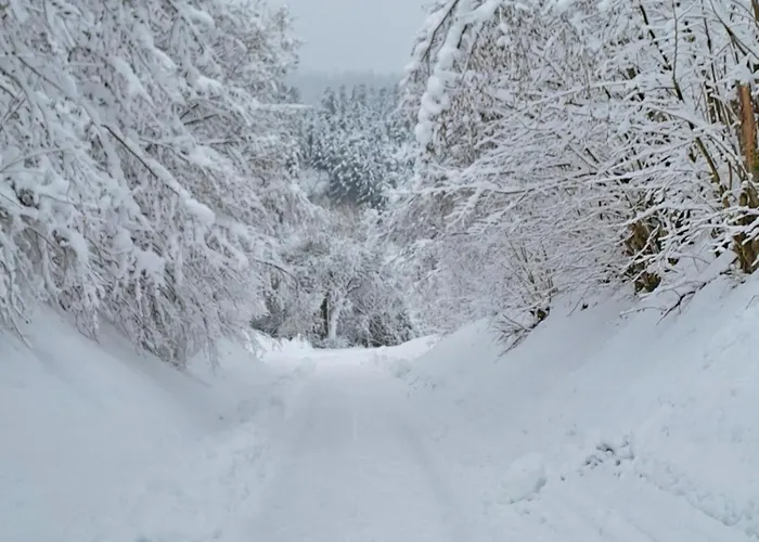 Apartman Schwarzwaldmarie Waldachtal