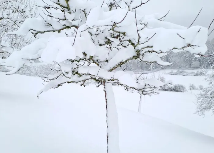 Apartman Schwarzwaldmarie Waldachtal